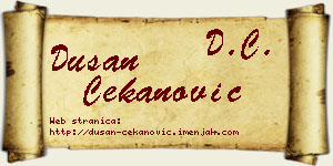 Dušan Čekanović vizit kartica